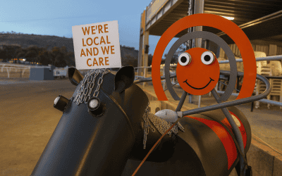 From Sparks to Steel: CRISP’s Entry in the Kulin Bush Races 2025 Tin Horse Competition Finds a Forever Home on the Tin Horse Highway