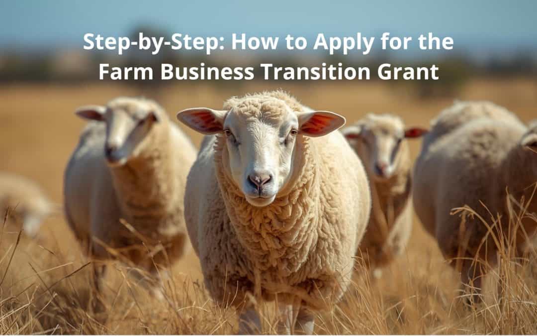 Step-by-Step: How to Apply for the Farm Business Transition Grant