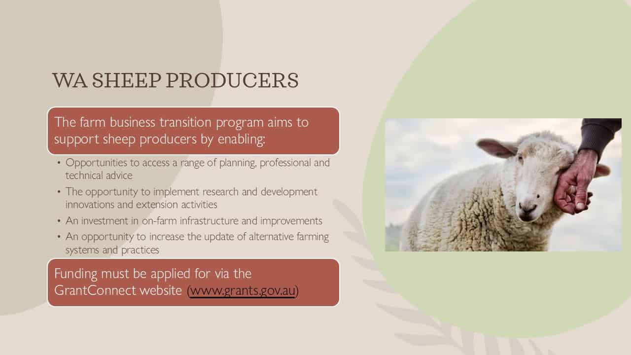 wa sheep producers