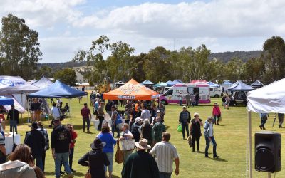 Wandering Fair 2025: A Connected Community Celebration